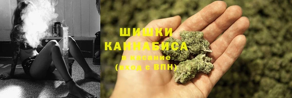 бошки Елабуга