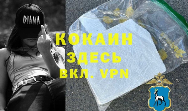 ALPHA PVP Елизово