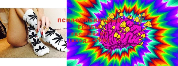 бошки Елабуга