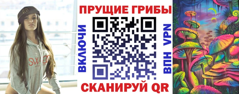 Купить закладки  Кондрово  Псилоцибиновые грибы GOLDEN TEACHER 